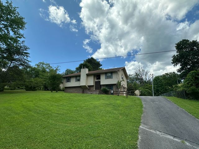 811 Armstrong Ferry Road, Dayton, TN 37321