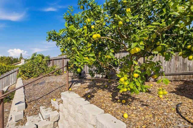 1693 Honeysuckle Ct, Encinitas, CA 92024