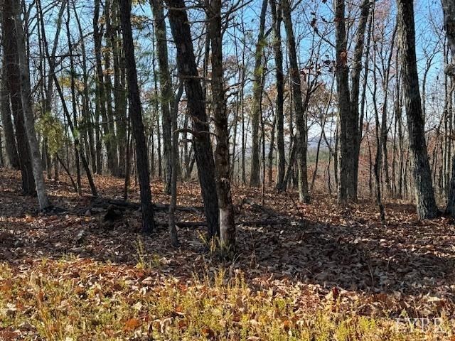 0 Kingswood Lane, Lynchburg, VA 24504