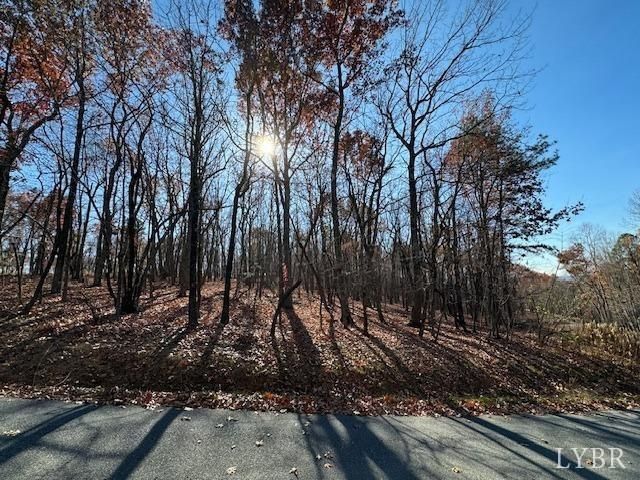 0 Kingswood Lane, Lynchburg, VA 24504