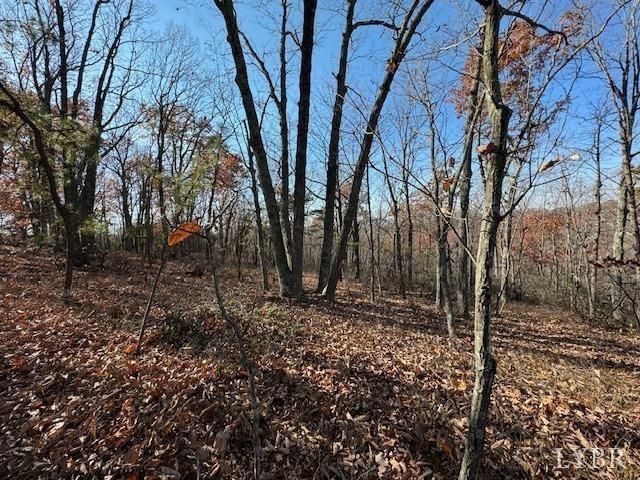 0 Kingswood Lane, Lynchburg, VA 24504