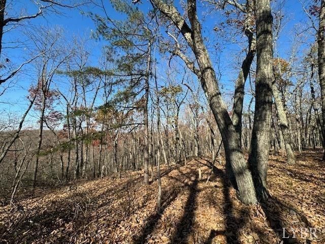 0 Kingswood Lane, Lynchburg, VA 24504