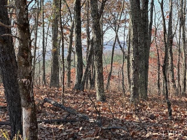 0 Kingswood Lane, Lynchburg, VA 24504