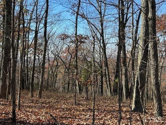 0 Kingswood Lane, Lynchburg, VA 24504