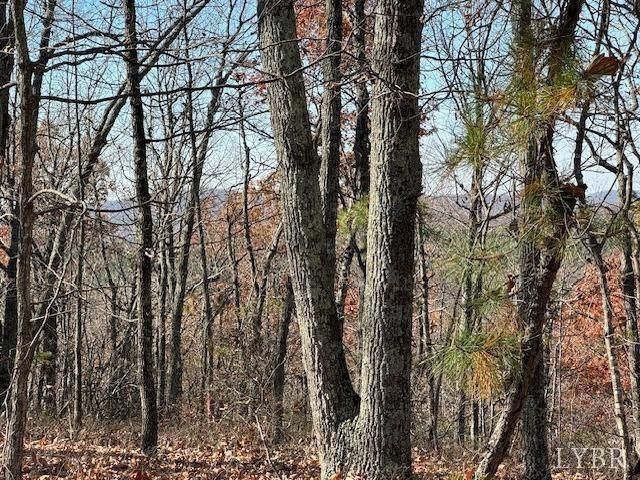 0 Kingswood Lane, Lynchburg, VA 24504