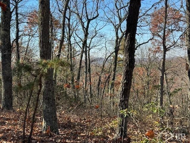 0 Kingswood Lane, Lynchburg, VA 24504