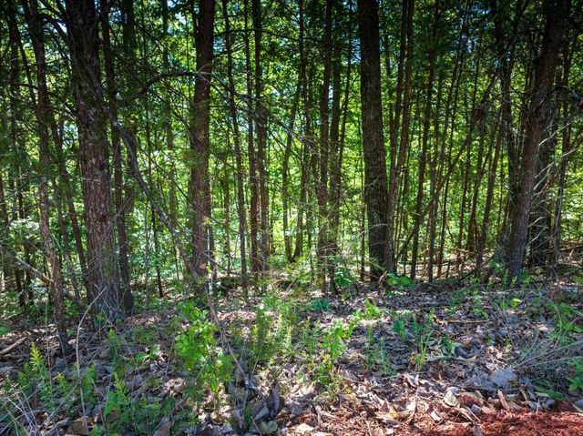 8100 Balata Drive, Ooltewah, TN 37363