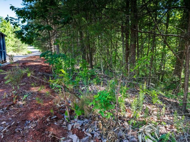 8100 Balata Drive, Ooltewah, TN 37363