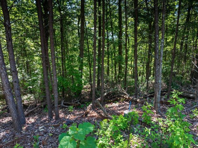 8100 Balata Drive, Ooltewah, TN 37363