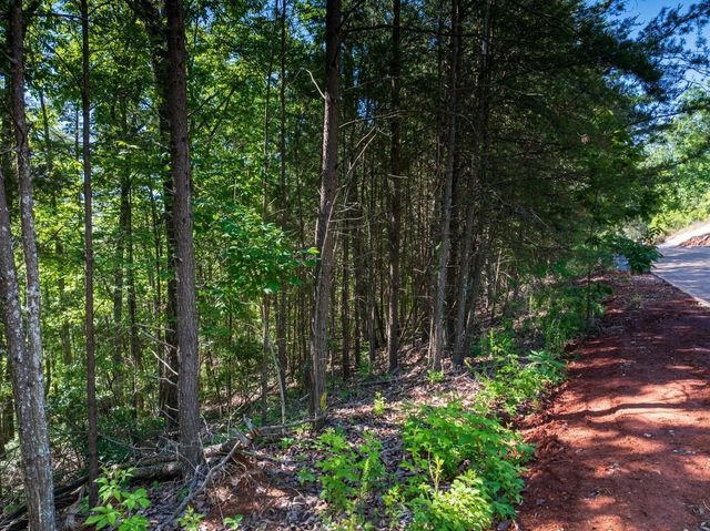 8100 Balata Drive, Ooltewah, TN 37363