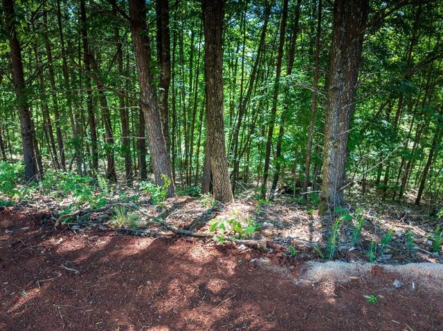 8100 Balata Drive, Ooltewah, TN 37363
