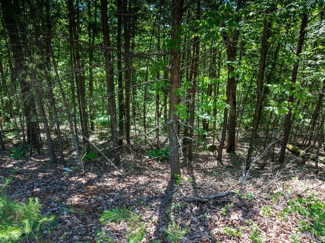 8100 Balata Drive, Ooltewah, TN 37363