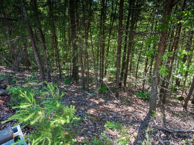 8100 Balata Drive, Ooltewah, TN 37363