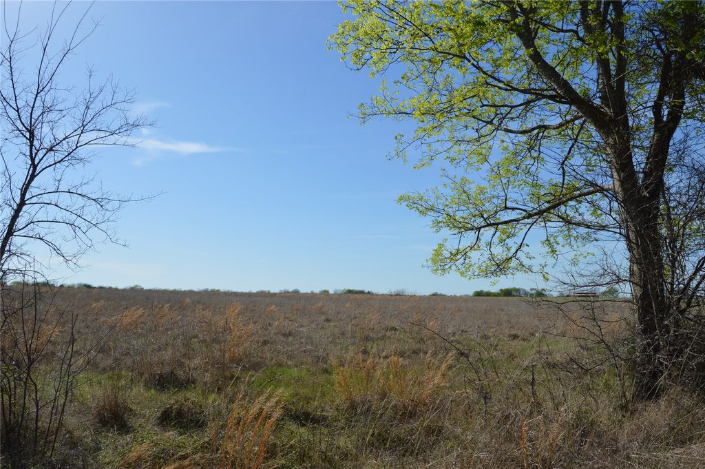TBD Lot 3 RS County Road 1520, Point, TX 75472