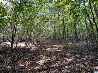 0 GREEN HILLS ROAD, Ohatchee, AL 36271