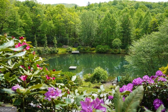 115 Dam Lake Drive, Dillard, GA 30537