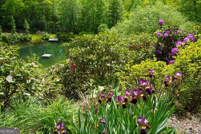115 Dam Lake Drive, Dillard, GA 30537
