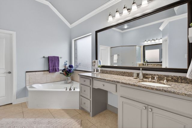 1921 Cedar Springs Drive, Prosper, TX 75078