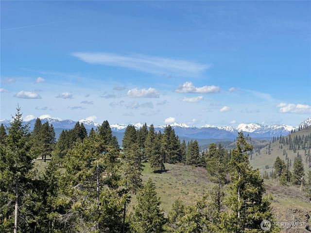 0 Morrison Canyon Lane, Cle Elum, WA 98922
