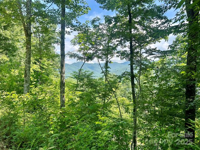 0 Hickory Rock Road 11, Bryson City, NC 28713