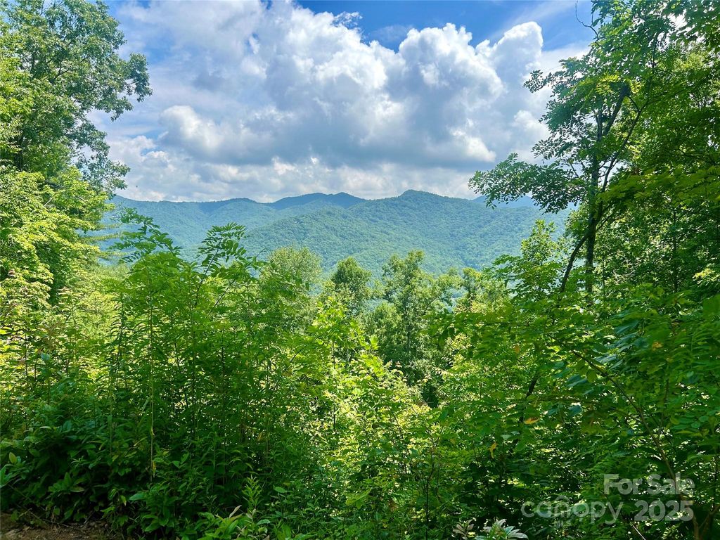 0 Hickory Rock Road 11, Bryson City, NC 28713