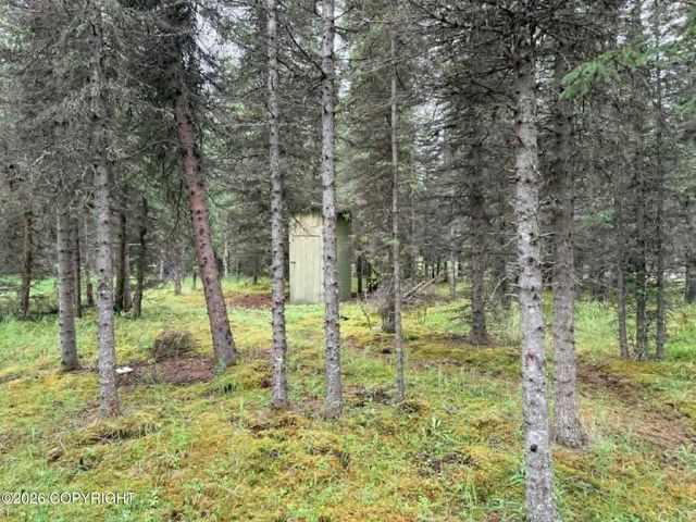 37350 Chinook Street, Soldotna, AK 99669