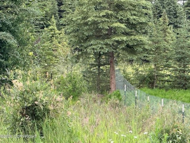 37350 Chinook Street, Soldotna, AK 99669