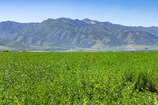 2710 W 6400 S # 1, Wellsville, UT 84339