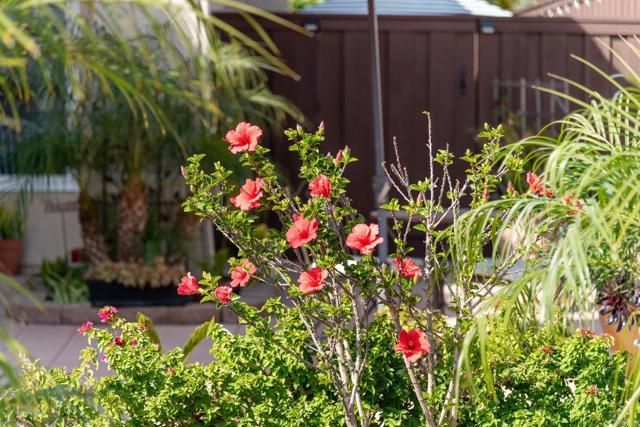 3732 Via Cabrillo, Oceanside, CA 92056