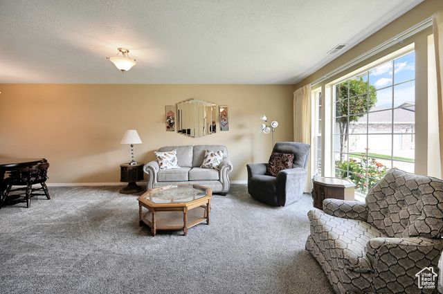 315 N MOUNTAIN VIEW LN, Providence, UT 84332