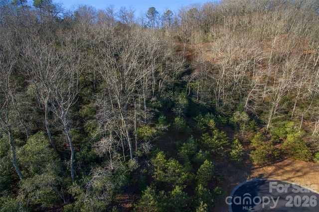 9999 Mayfly Lane 106, Horse Shoe, NC 28742