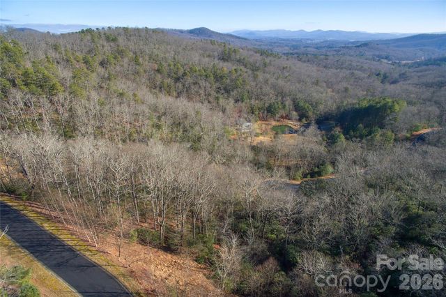 9999 Mayfly Lane 106, Horse Shoe, NC 28742