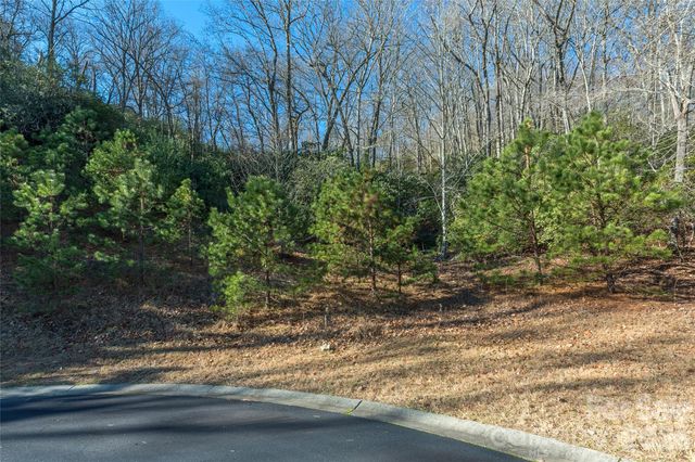 9999 Mayfly Lane 106, Horse Shoe, NC 28742
