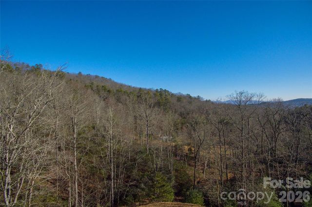 9999 Mayfly Lane 106, Horse Shoe, NC 28742