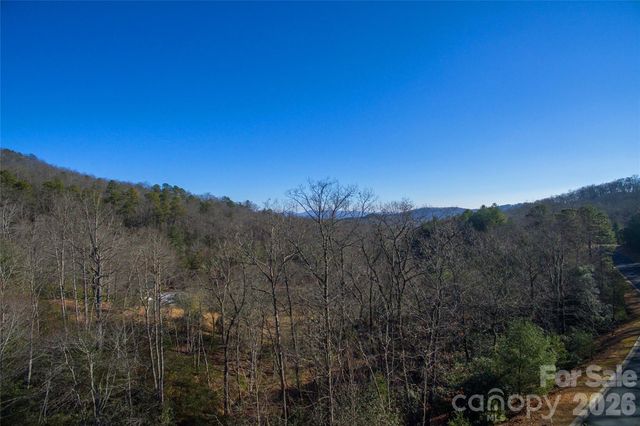 9999 Mayfly Lane 106, Horse Shoe, NC 28742