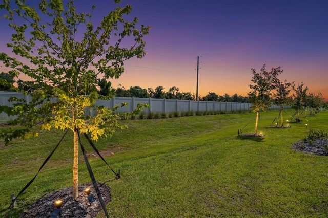 12617 LILY QUARTZ LOOP, Parrish, FL 34219
