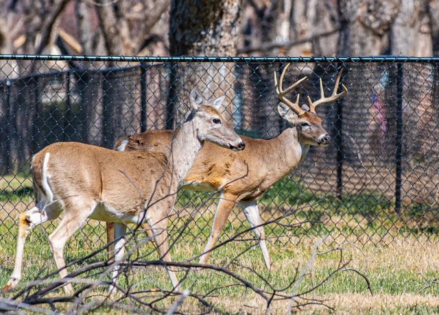 2167 E Landings N, Granbury, TX 76049