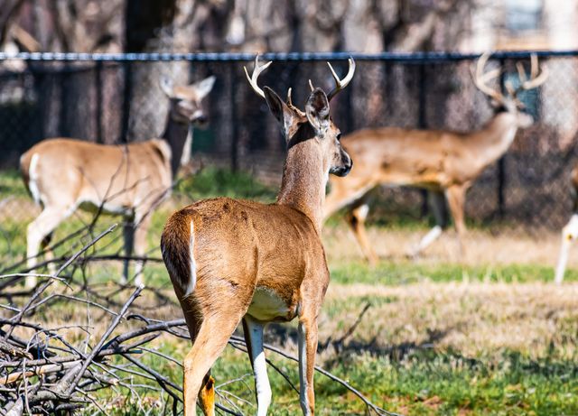 2167 E Landings N, Granbury, TX 76049