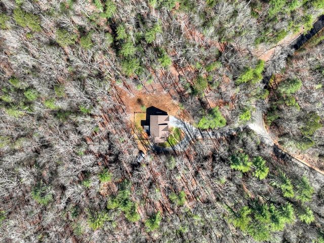 175 Mountain Springs Road, Ellijay, GA 30540