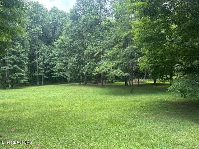 331 Briley Rd, Spring City, TN 37381