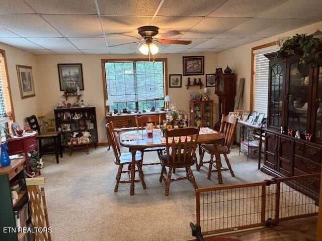 331 Briley Rd, Spring City, TN 37381