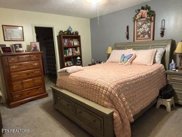 331 Briley Rd, Spring City, TN 37381