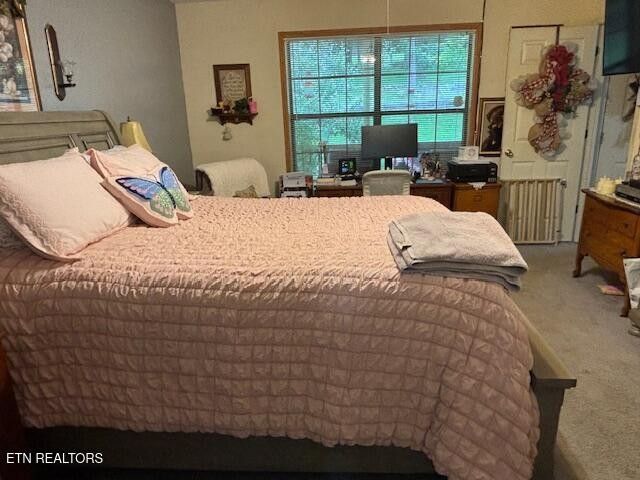 331 Briley Rd, Spring City, TN 37381