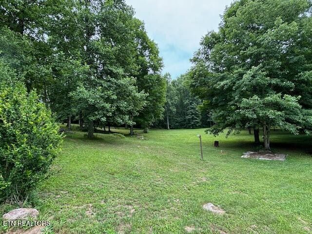 331 Briley Rd, Spring City, TN 37381