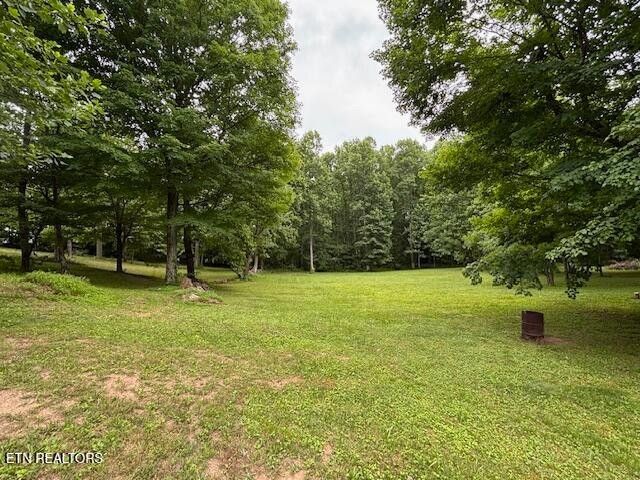 331 Briley Rd, Spring City, TN 37381