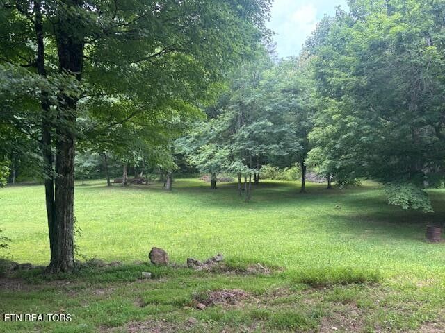 331 Briley Rd, Spring City, TN 37381