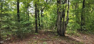 4501 Lot 1 Mill Creek Road, Cedar Grove, NC 27231