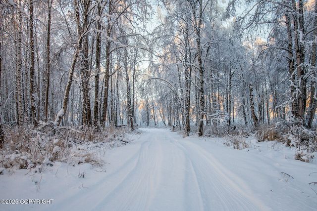 49246 S Hunter Drive, Willow, AK 99688