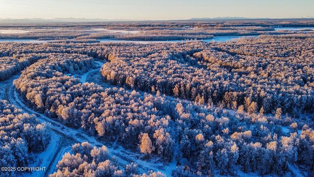 49246 S Hunter Drive, Willow, AK 99688