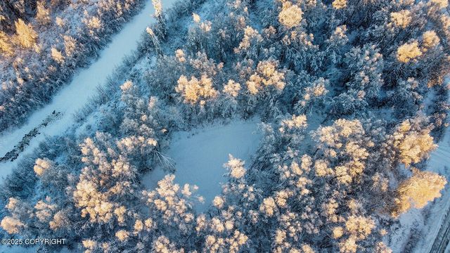 49246 S Hunter Drive, Willow, AK 99688